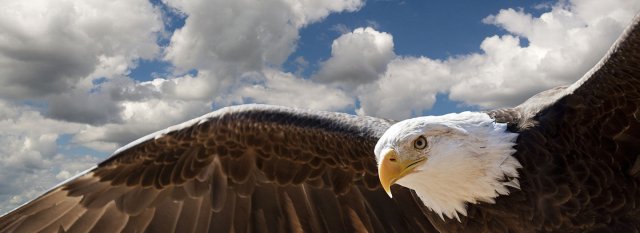 National Park Service