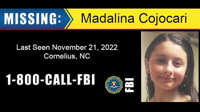 Madalina Cojocari Missing Person&#039;s Vodcast