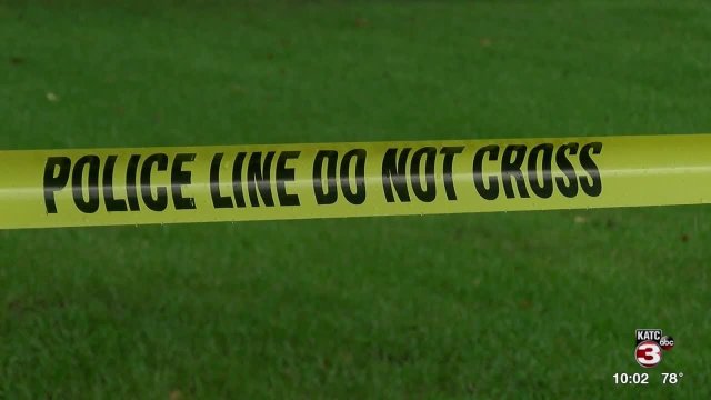 Search for Erica Hunt continues after no human remains found at home